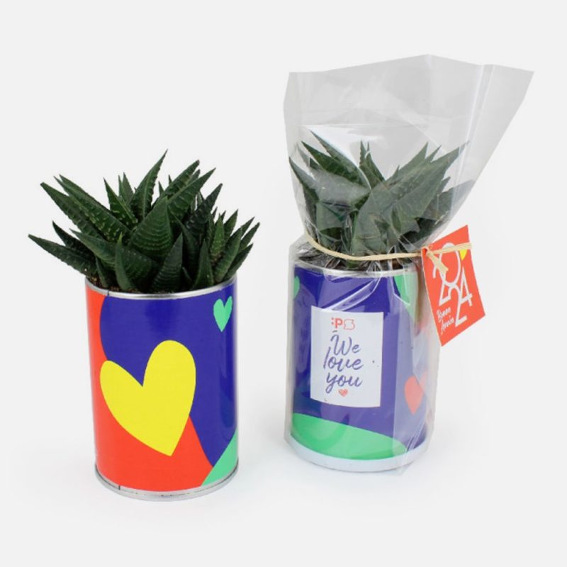 can-plant-corporate-gift
